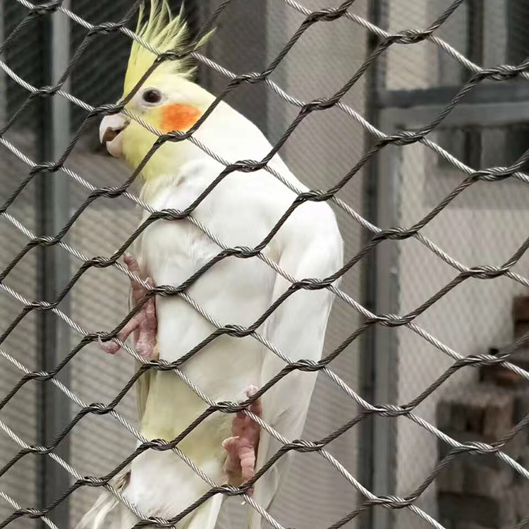 不锈钢绳网百鸟园网